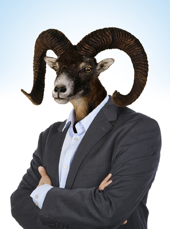 animal personality test animal personality test