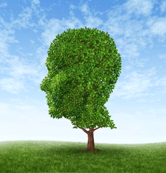 Learning in different societies and languages on one earth