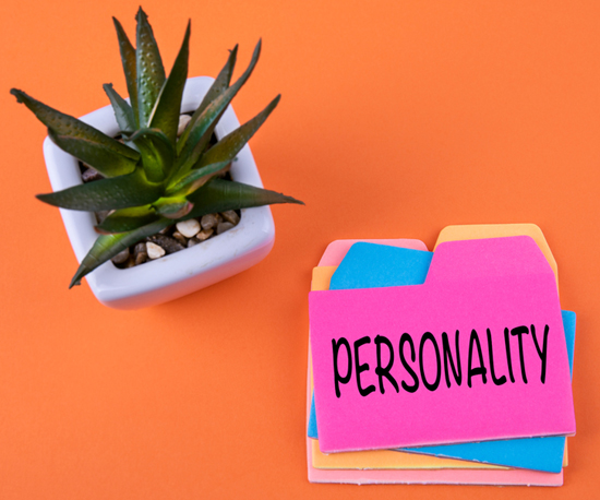 Personality Assessment Test